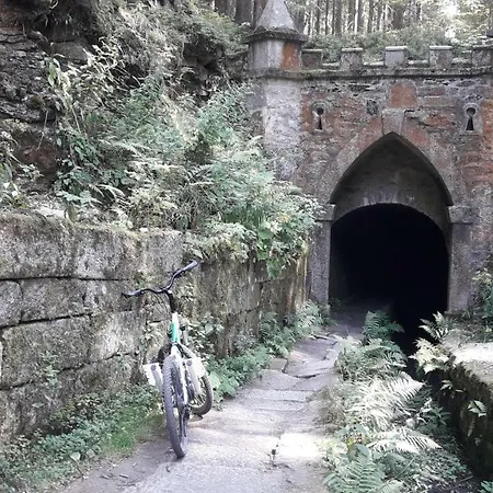 Bohmerwald Angerholz Pansiyon
