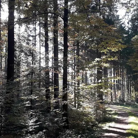Bohmerwald Angerholz *