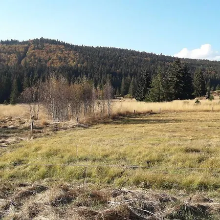Homestay Bohmerwald Angerholz *